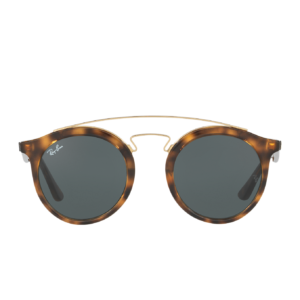 Ray-Ban Gatsby Round RB4256
