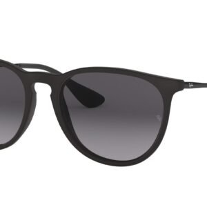 Ray-Ban Erika RB4171